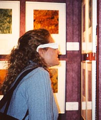 Using the 3-D glasses