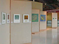 click here to view larger image in a separate window