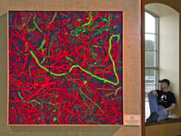 click here to view larger image in a separate window