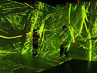 click here to view larger image in a separate window