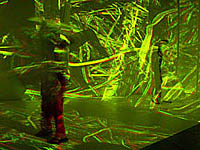 click here to view larger image in a separate window