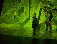 click here to view larger image in a separate window