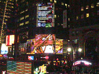 click here to view larger image in a separate window