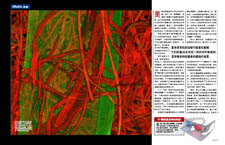 Image from article - open PDF to see larger version