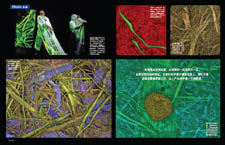 Image from article - open PDF to see larger version