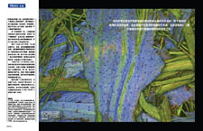 Image from article - open PDF to see larger version