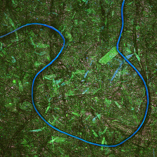 SLM image of paper made from silk fibers